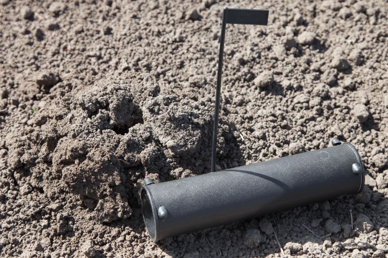 Mole Removal Service