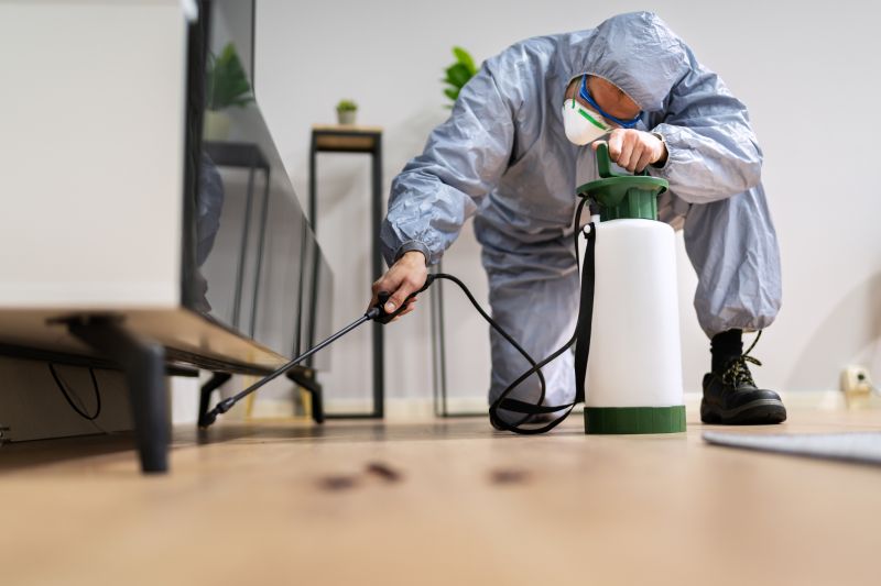 Fumigation Service in Fort Collins, CO