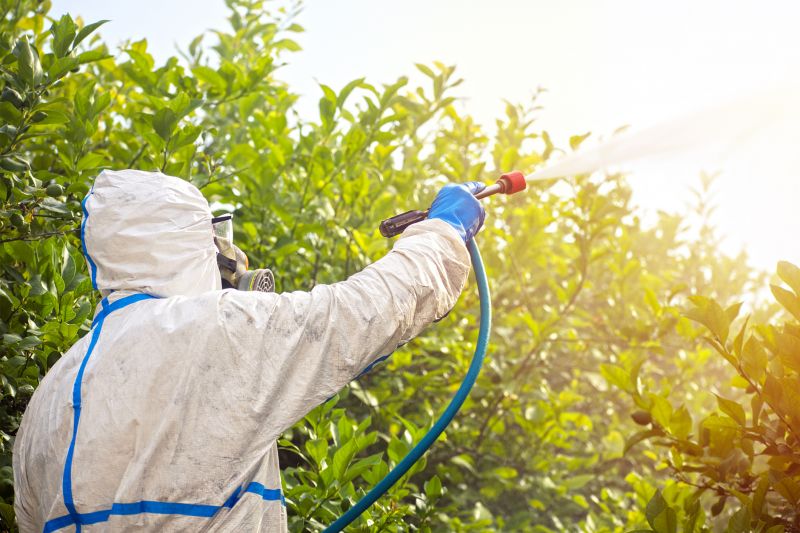 Pest Fumigation Service in Toledo, OH