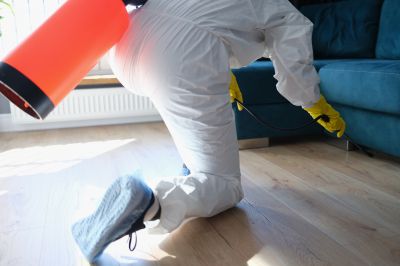 Rat Fumigation Service in Fredericksburg, VA