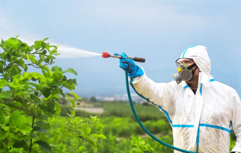 Roach Fumigation in Clarksville, TN