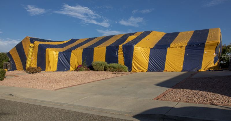 Termite Tenting in San Jose, CA